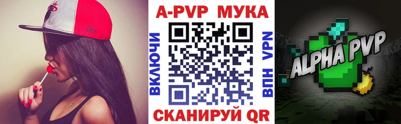 A-PVP Судогда