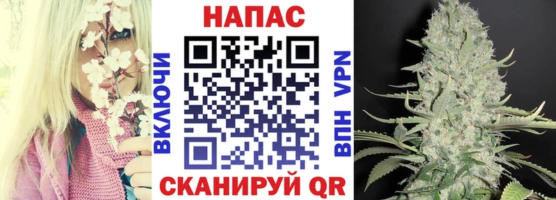 Марихуана сатива  Судогда 